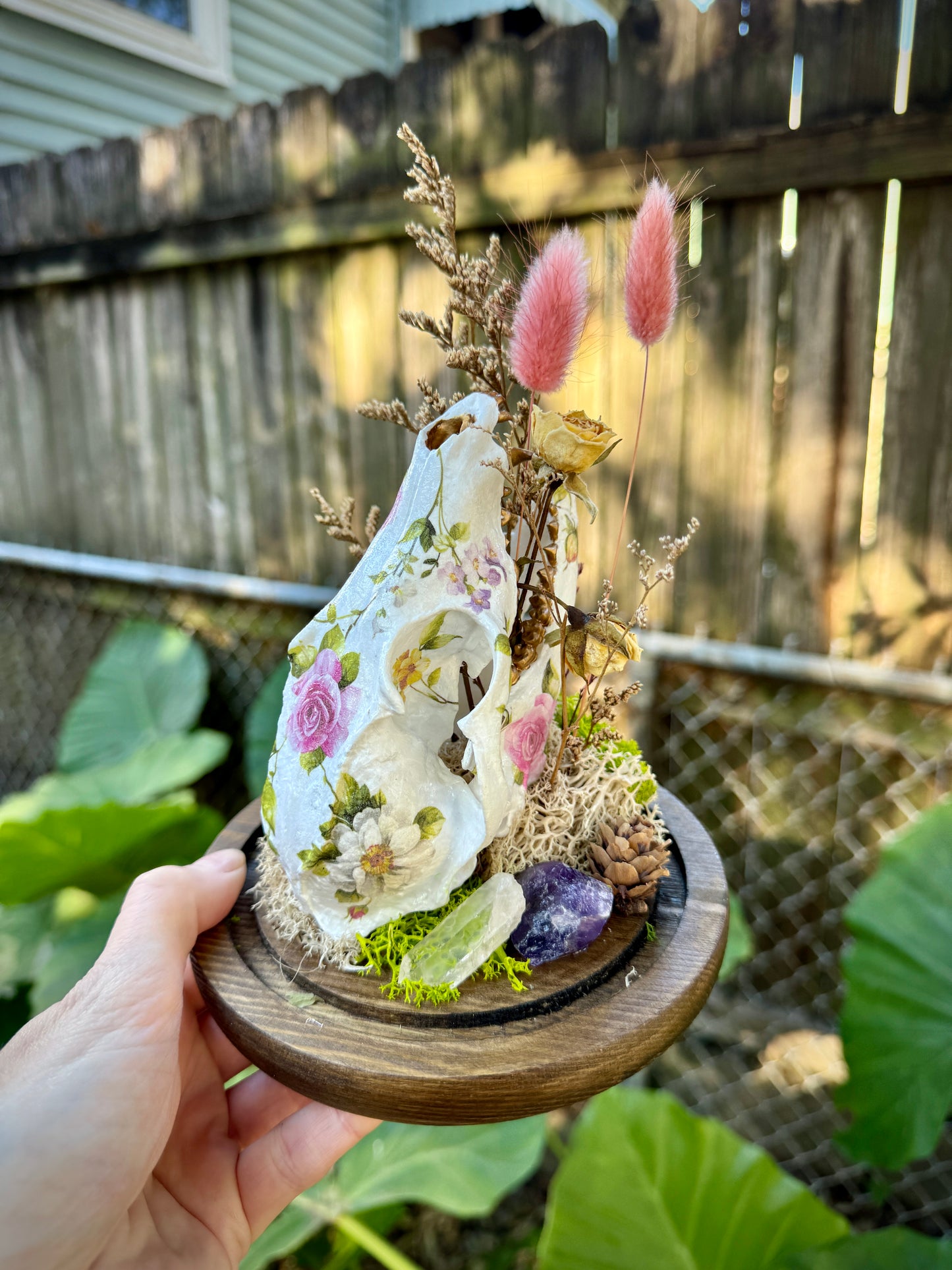 Faux Fox Skull in Cloche Terrarium