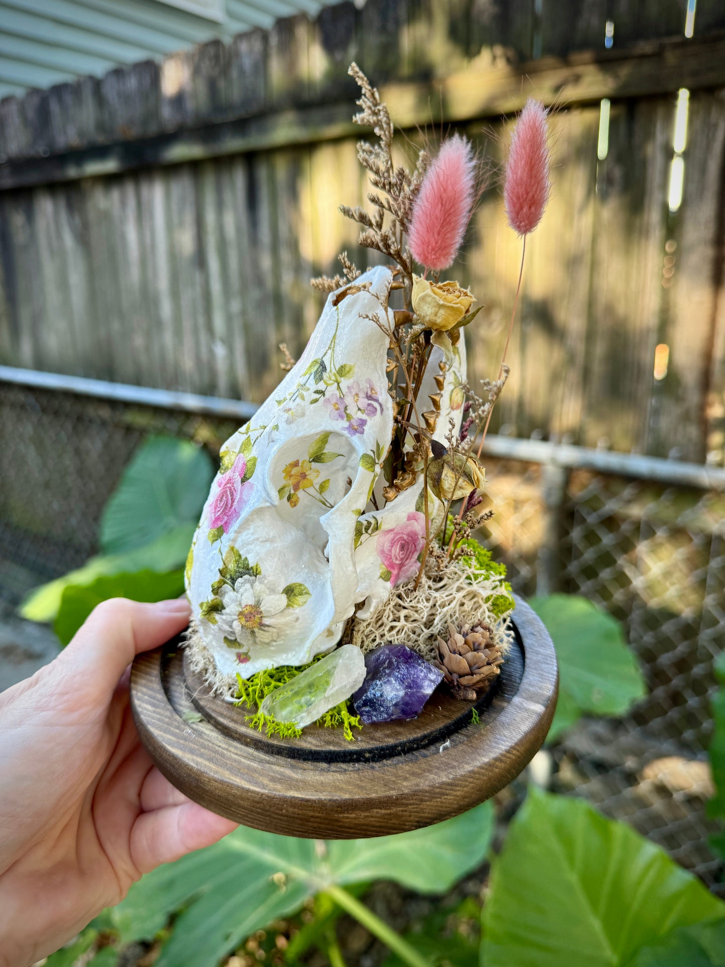 Faux Fox Skull in Cloche Terrarium