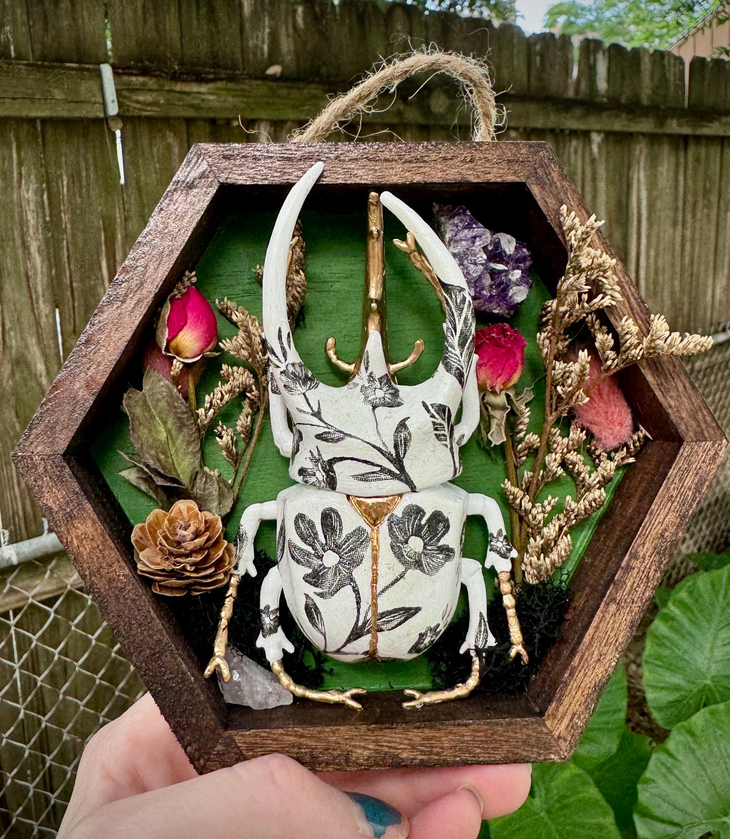 Black and White Beetle with Green background