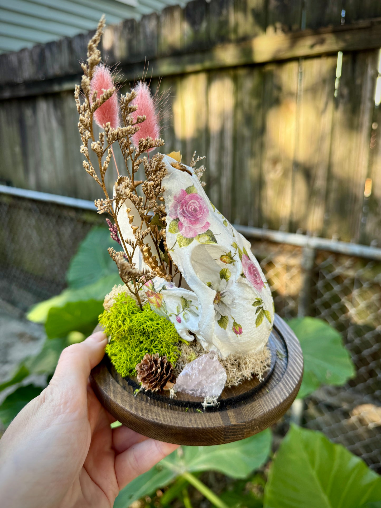 Faux Fox Skull in Cloche Terrarium