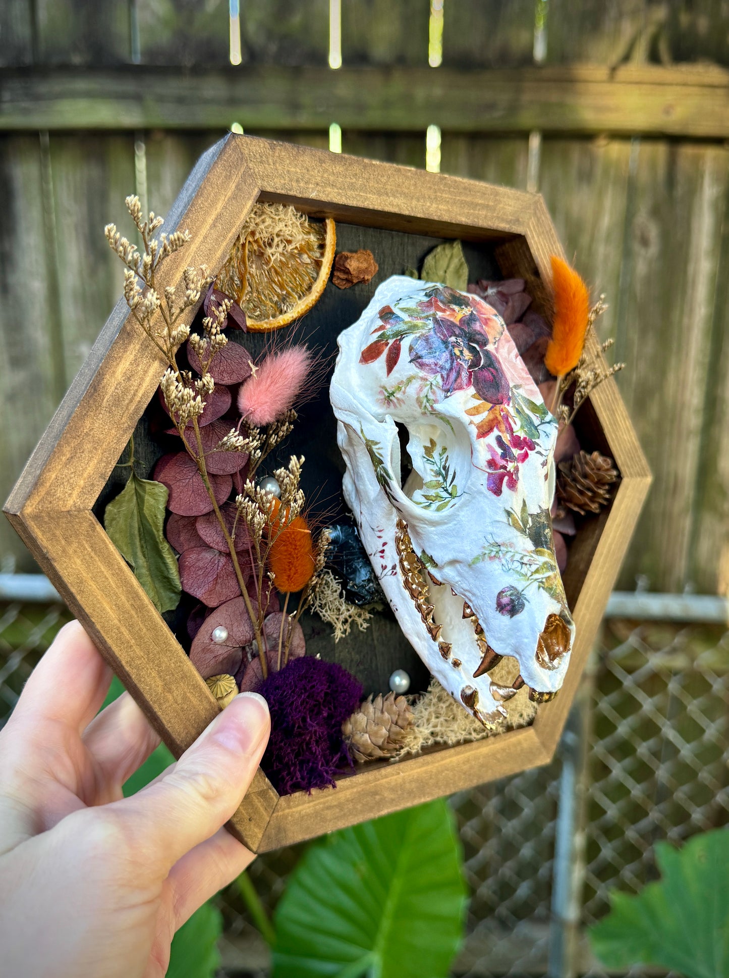 Autumn Fox skull in medium frame