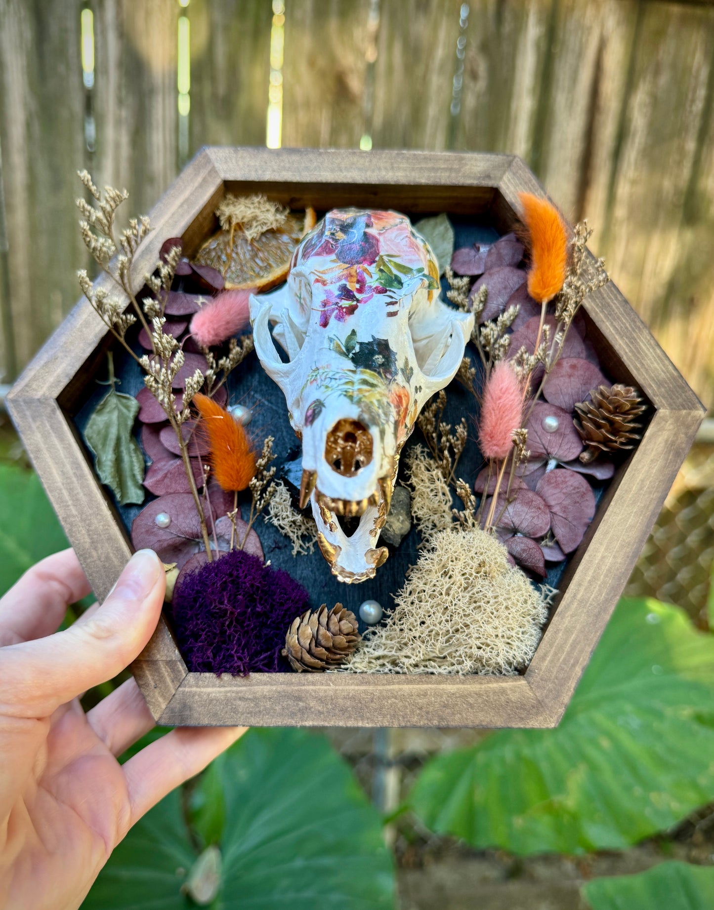 Autumn Fox skull in medium frame