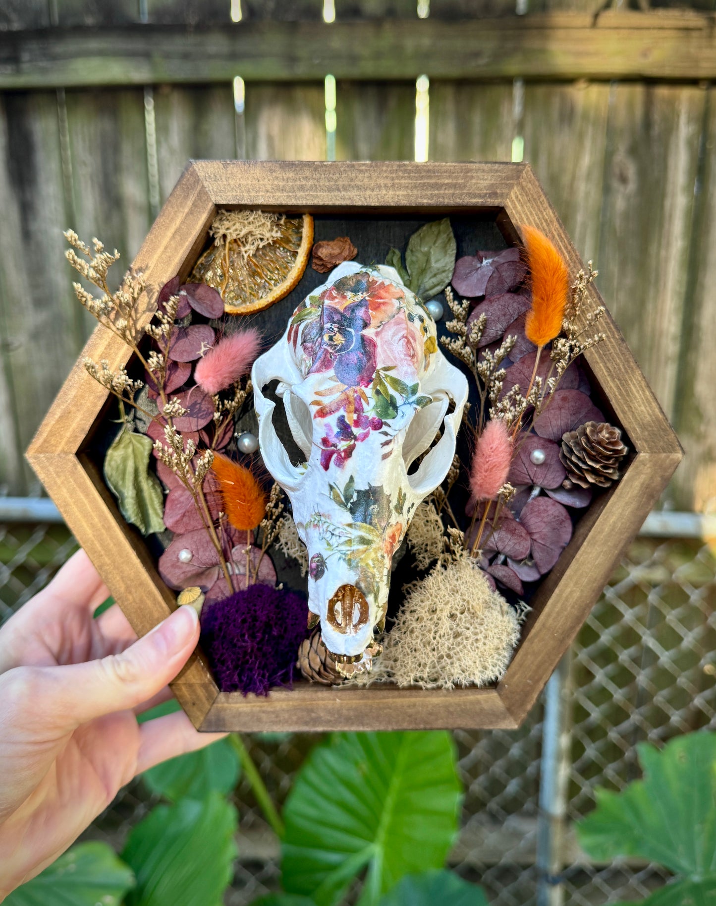 Autumn Fox skull in medium frame
