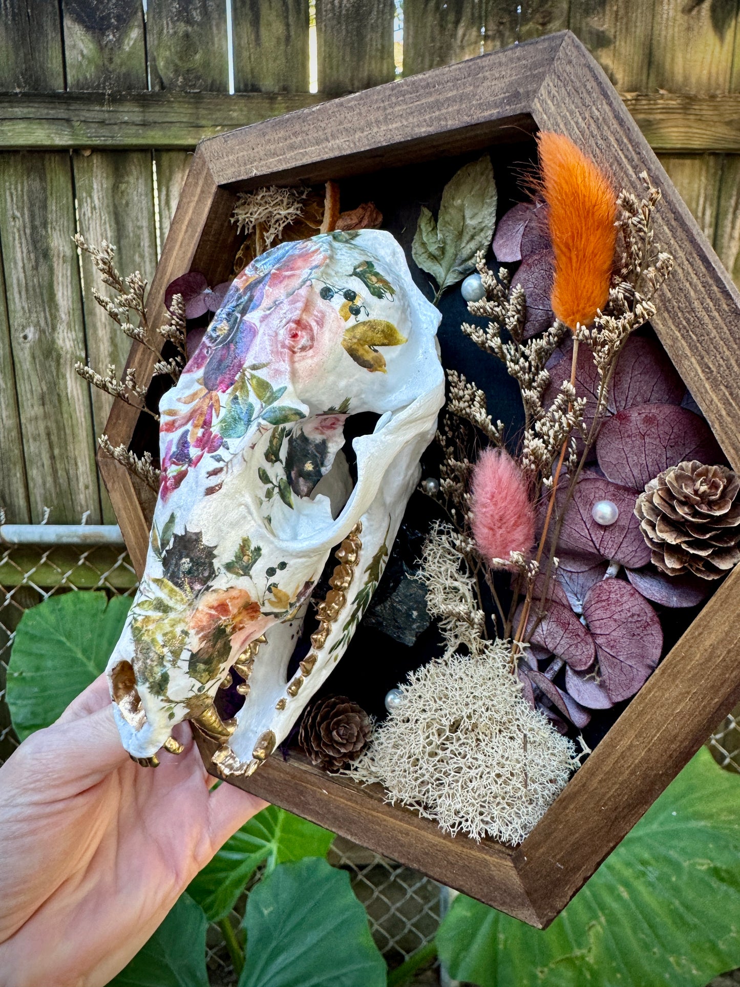 Autumn Fox skull in medium frame