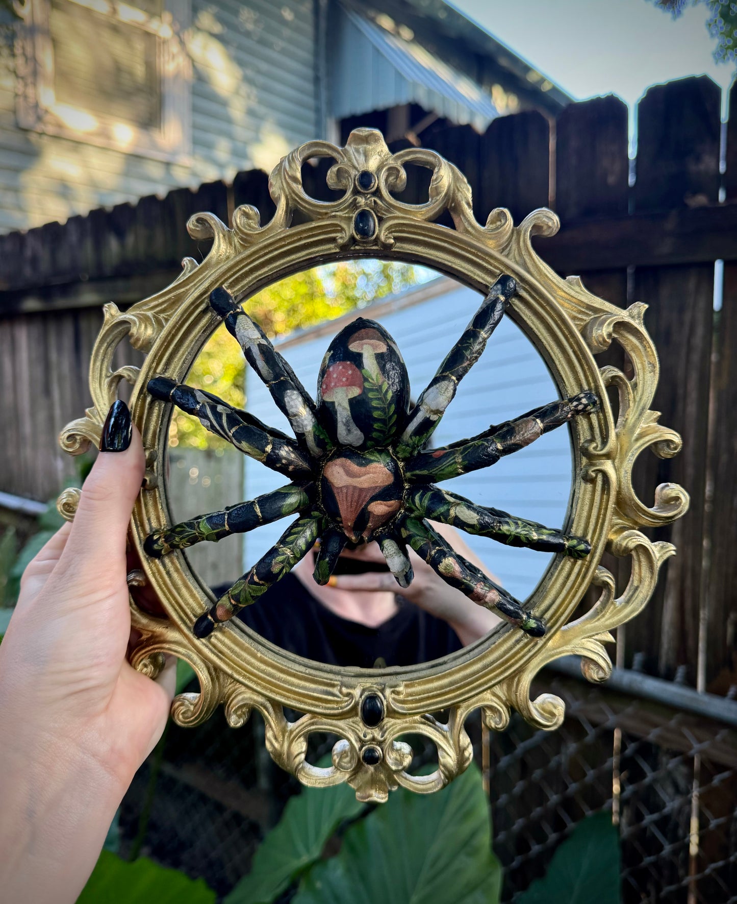 Fungi Mirror Tarantula