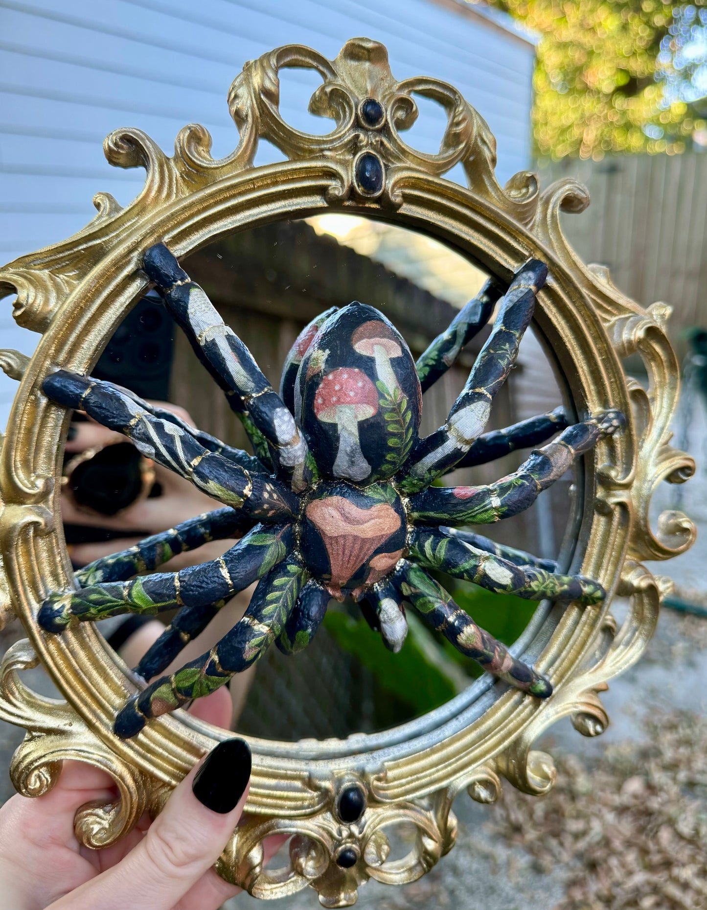 Fungi Mirror Tarantula