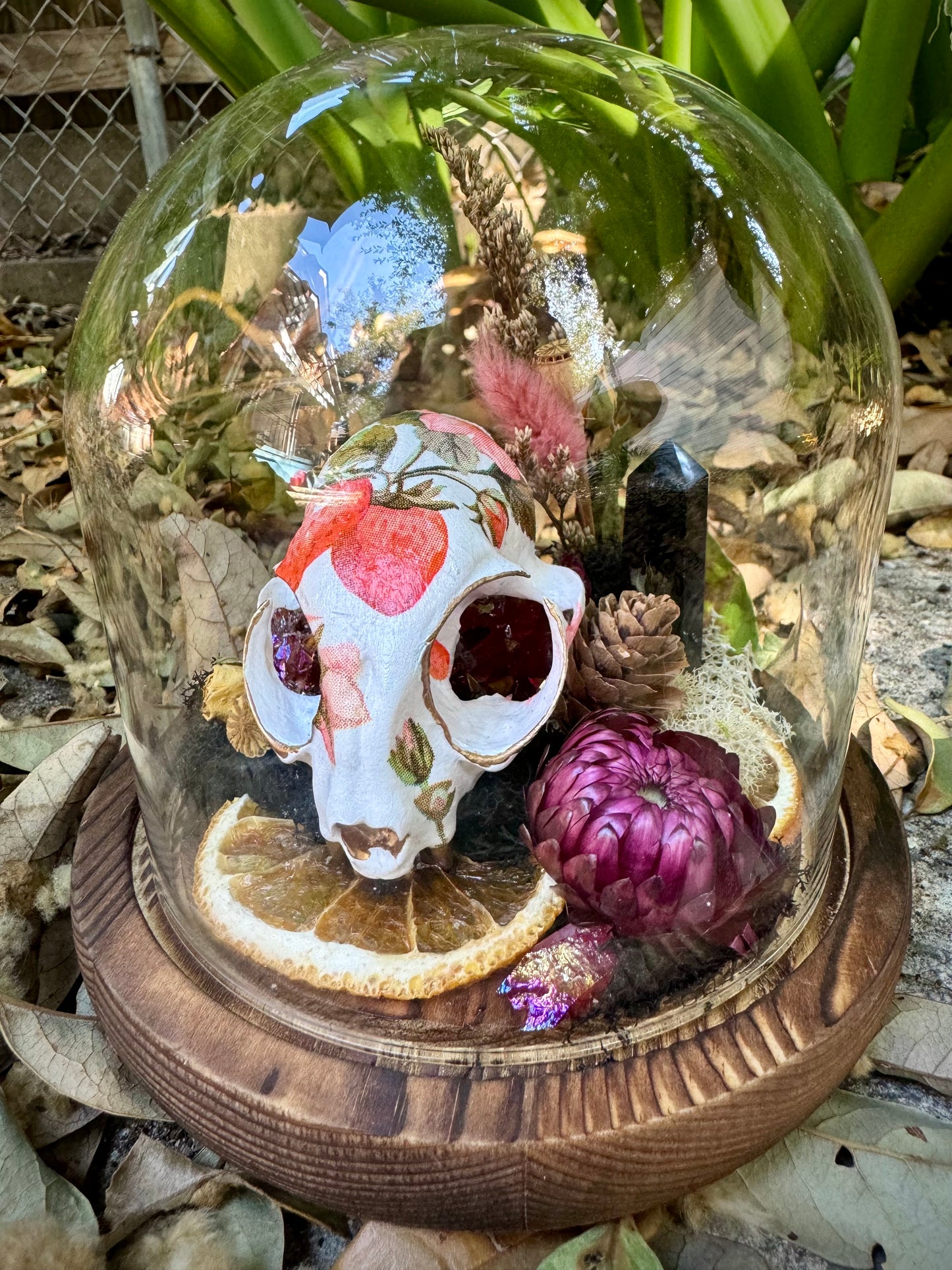 Cat Skull Terrarium
