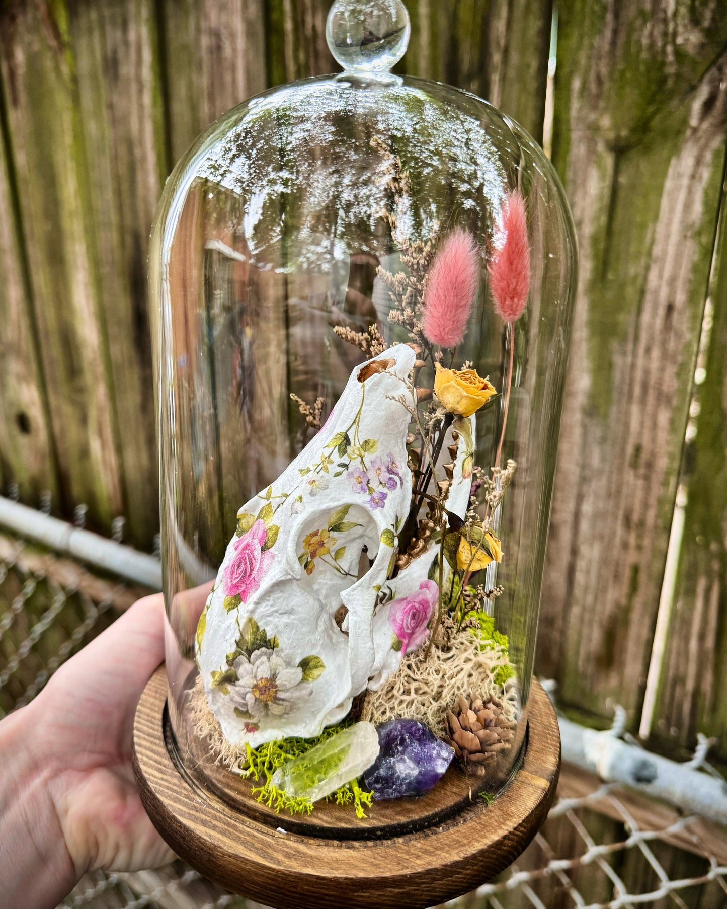 Faux Fox Skull in Cloche Terrarium