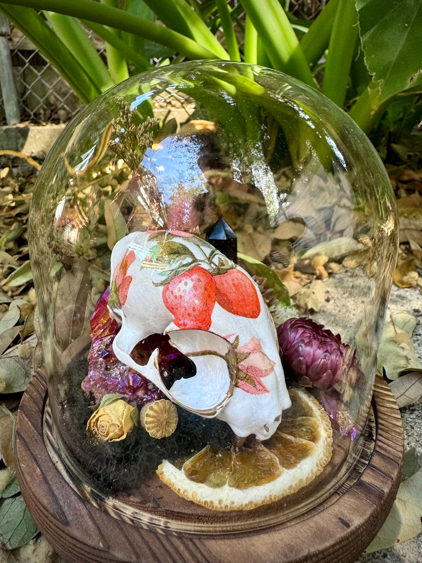 Cat Skull Terrarium