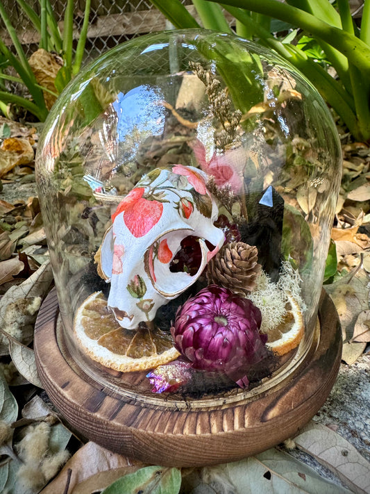 Cat Skull Terrarium
