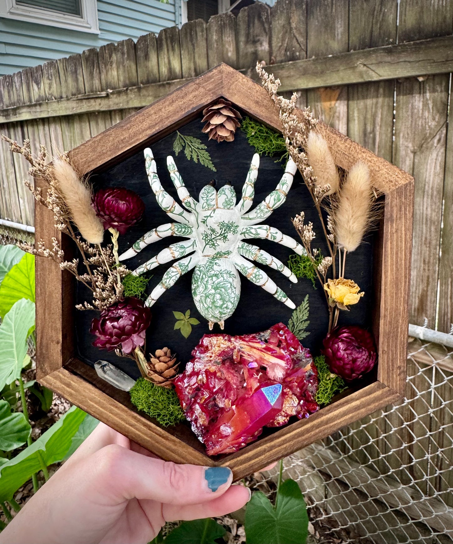 Green Illustration Tarantula in Medium Frame