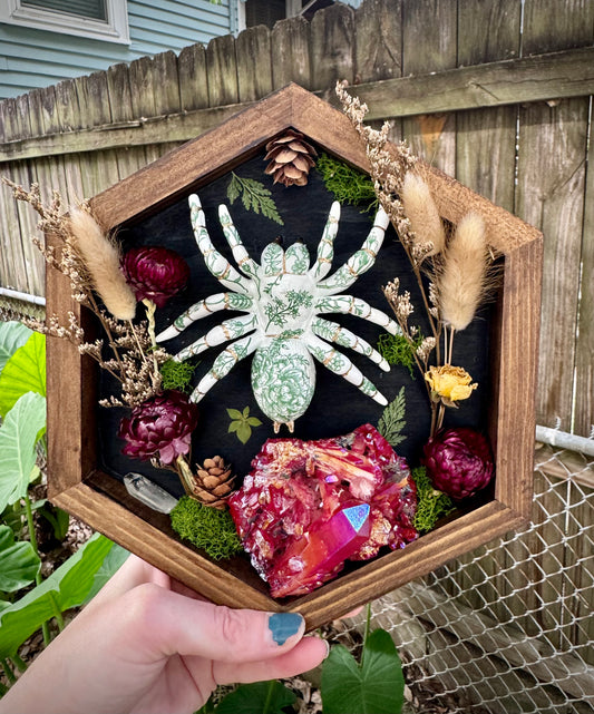 Green Illustration Tarantula in Medium Frame