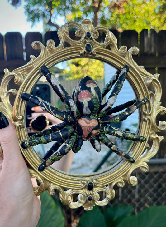 Fungi Mirror Tarantula