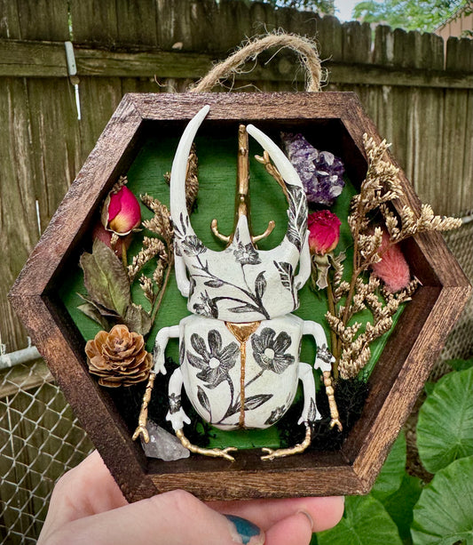 Black and White Beetle with Green background