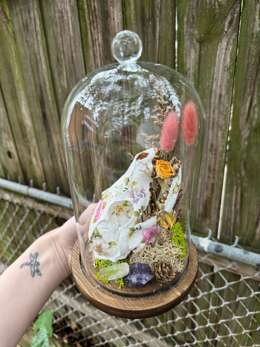 Faux Fox Skull in Cloche Terrarium