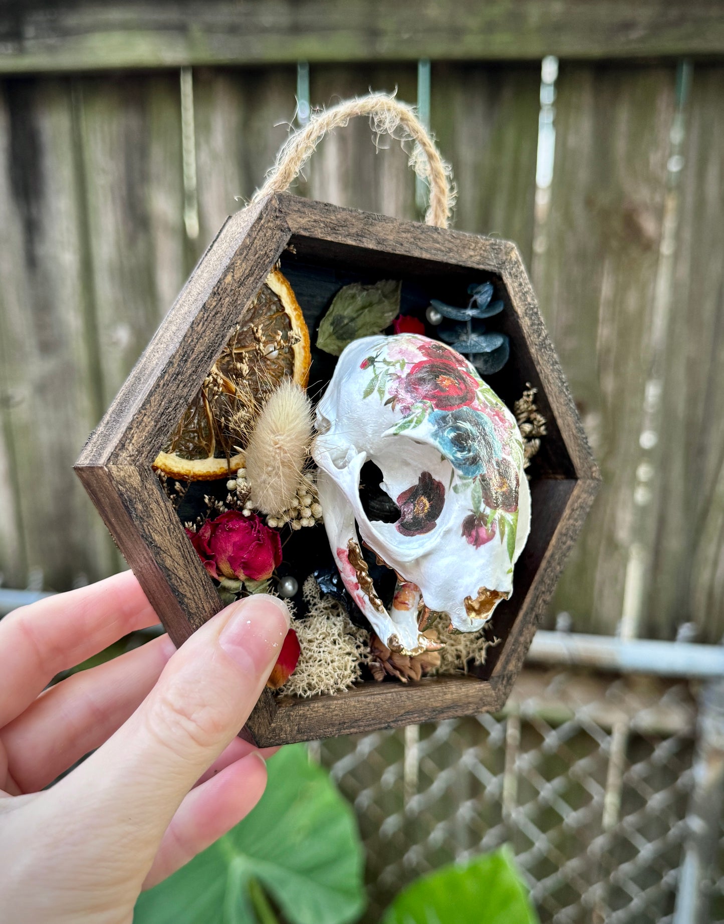 Rose Cat Skull in small frame