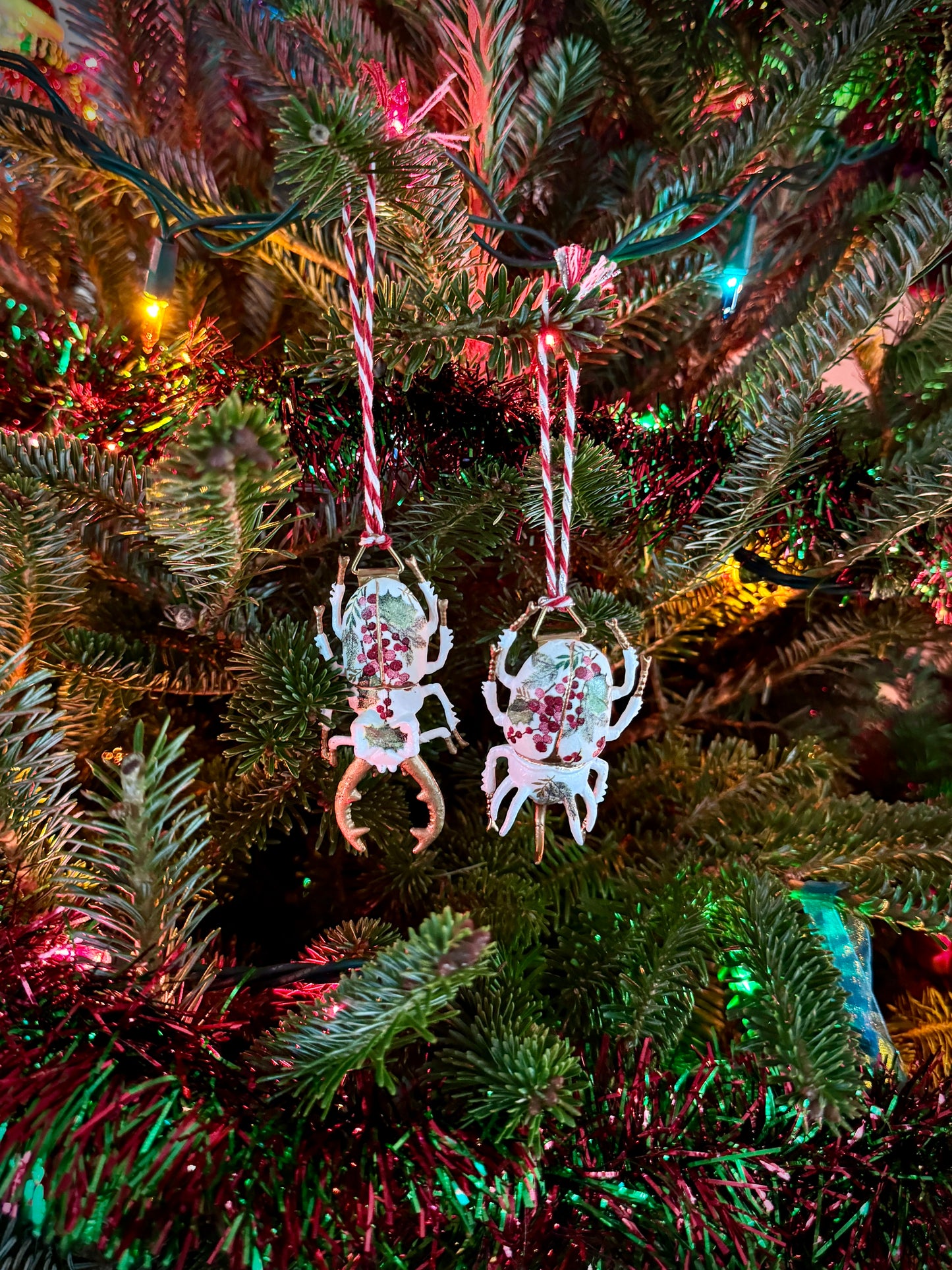 Beetle Ornaments - Mini