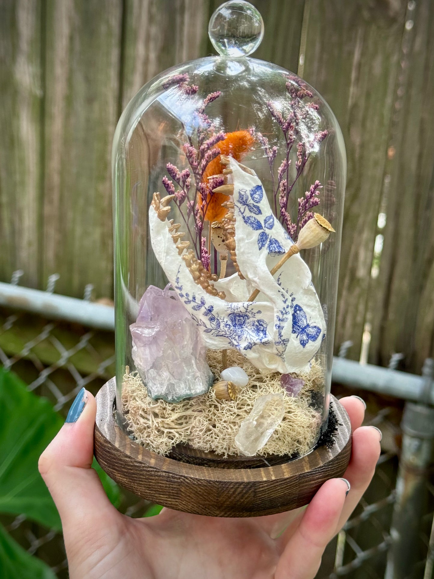 Mini Faux Fox Skull in Cloche