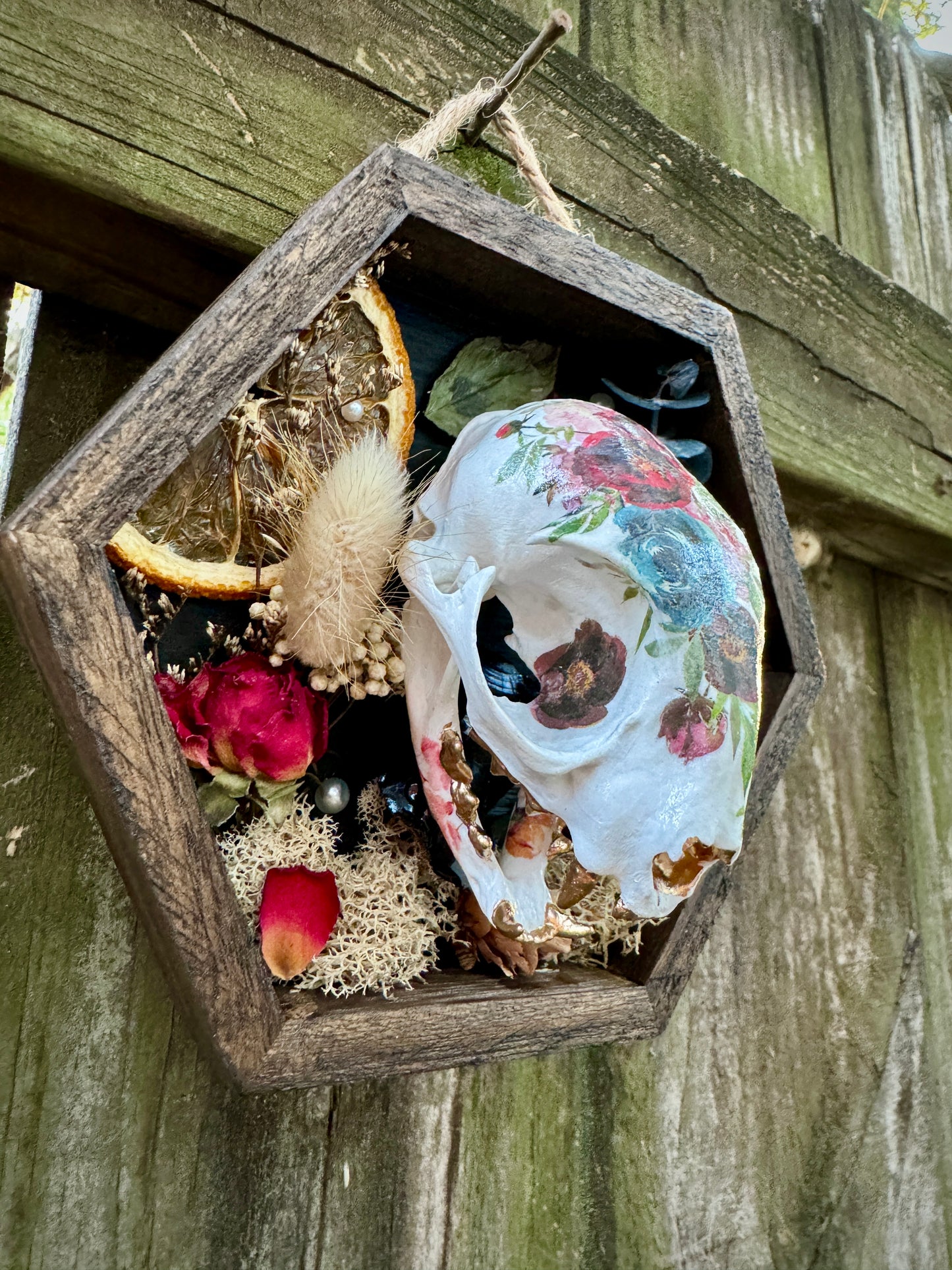 Rose Cat Skull in small frame