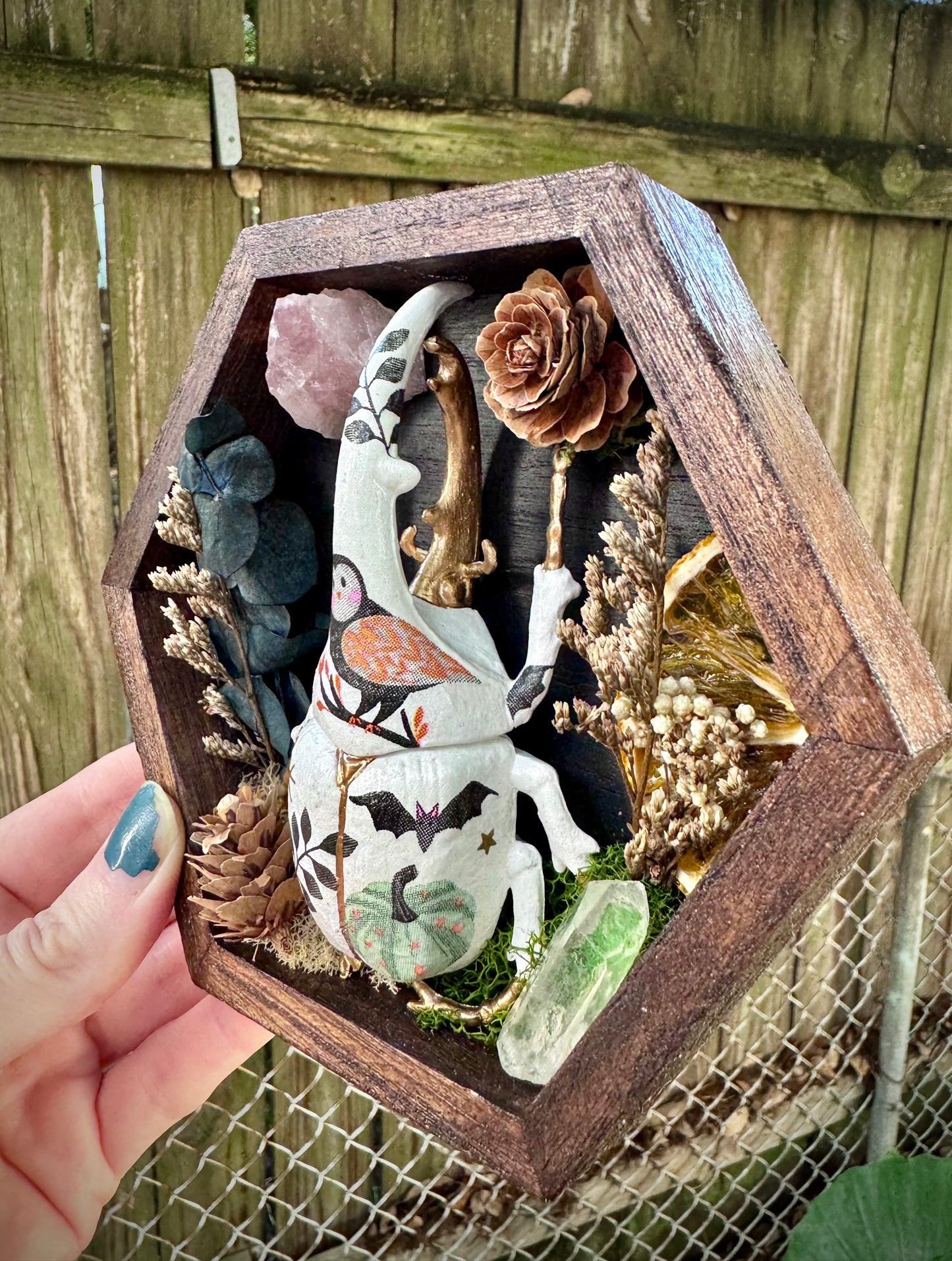 Halloween Rhino Beetle in Small Frame