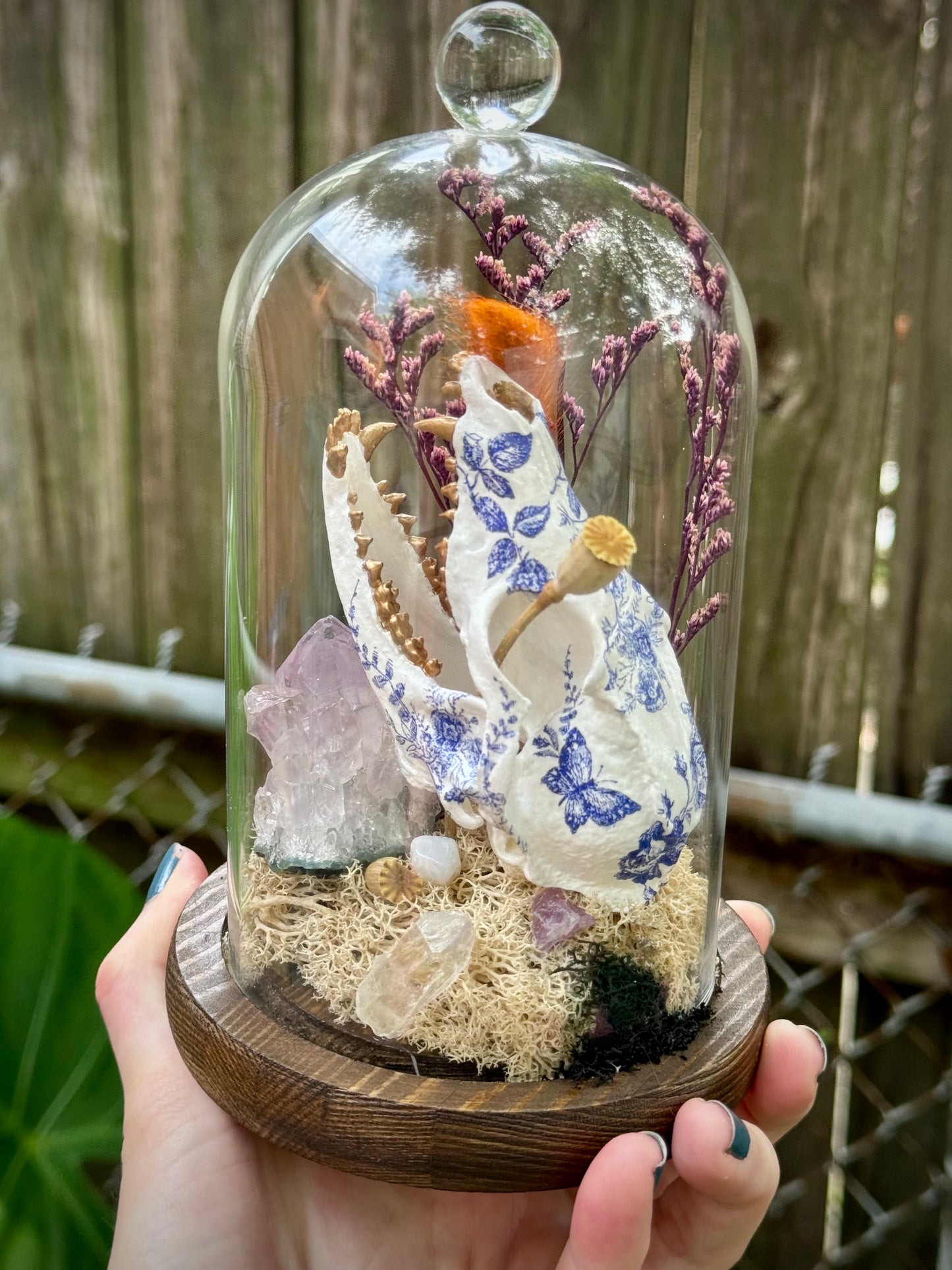 Mini Faux Fox Skull in Cloche