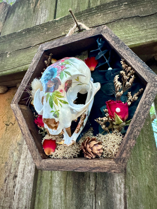 Rose Cat Skull in small frame