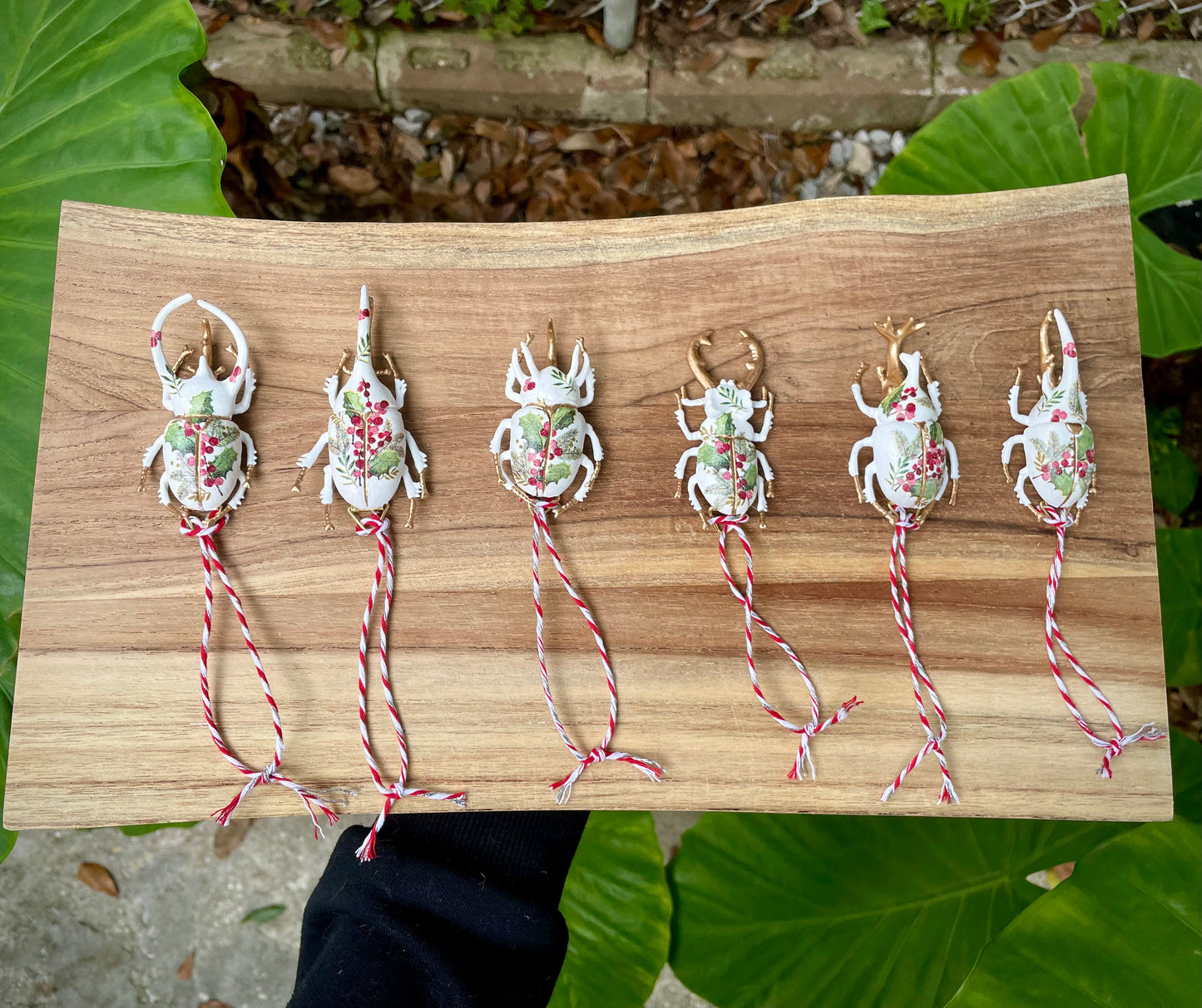 Beetle Ornaments - Mini