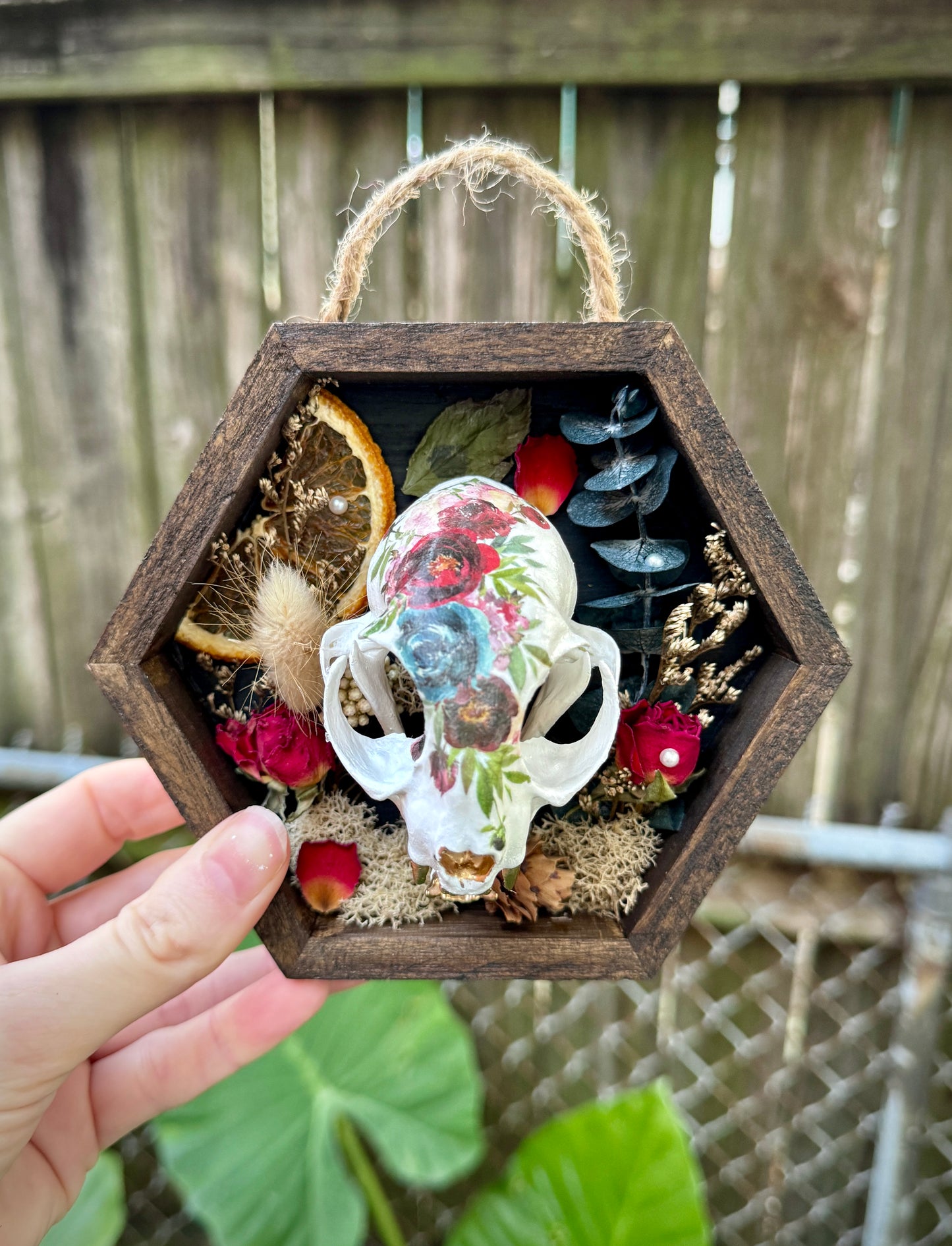 Rose Cat Skull in small frame