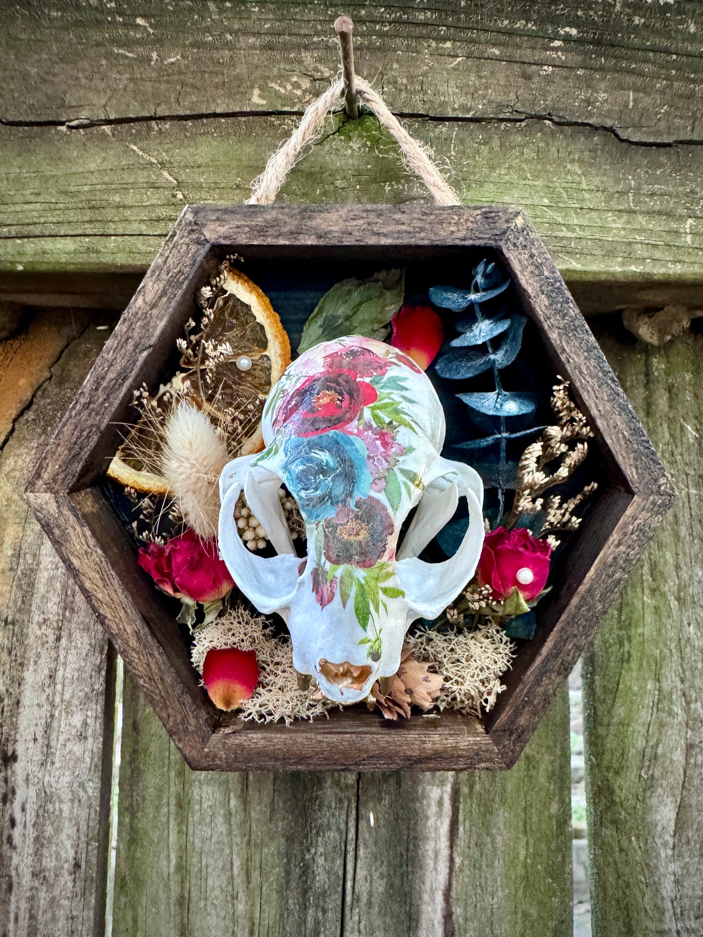 Rose Cat Skull in small frame