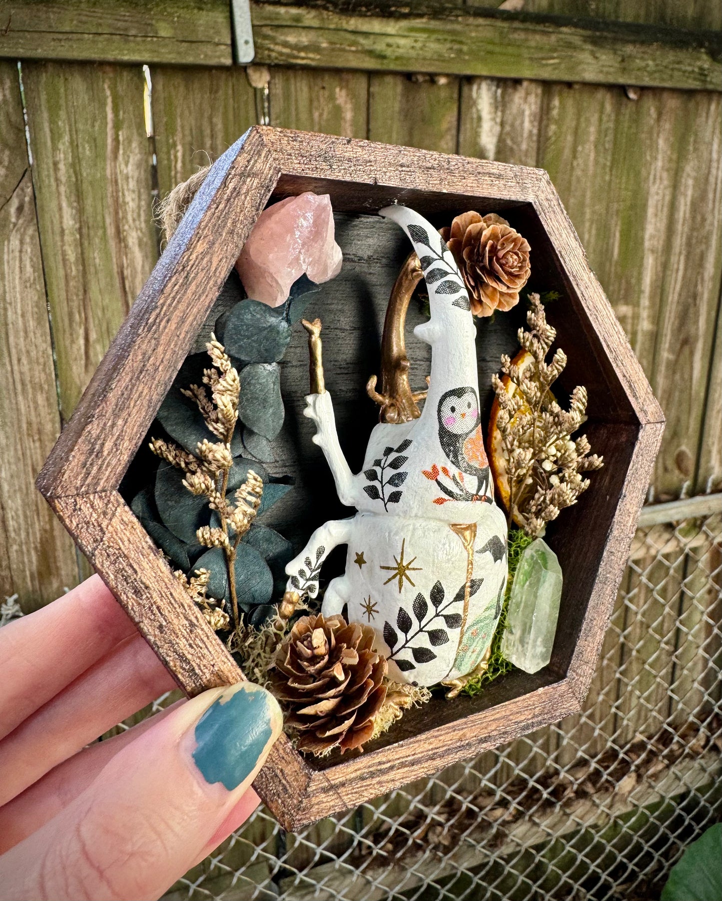 Halloween Rhino Beetle in Small Frame