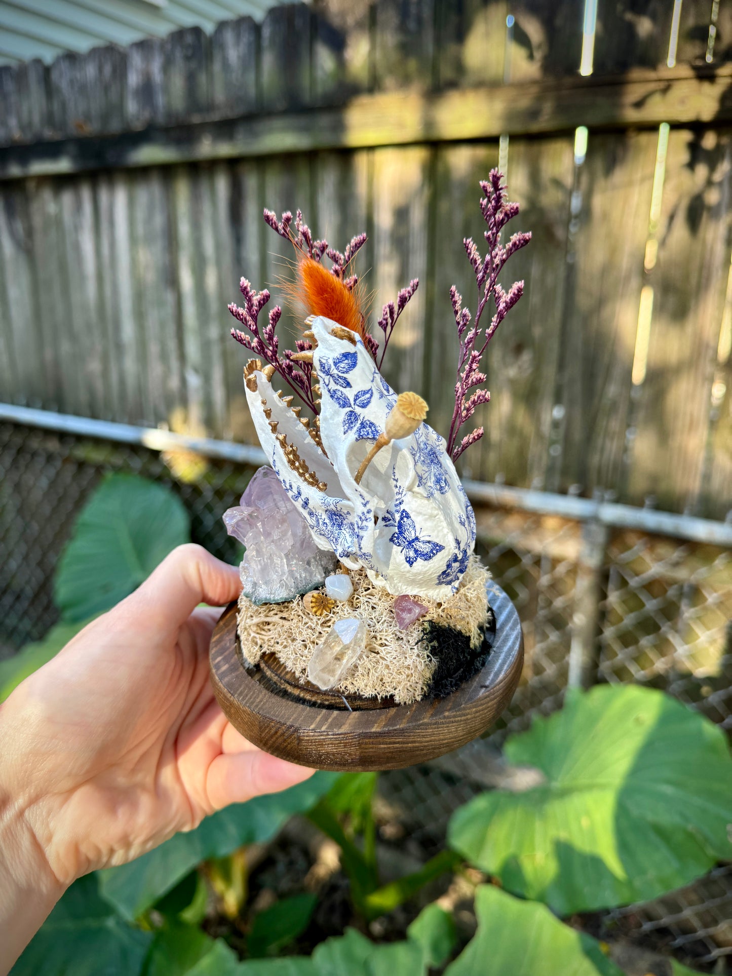 Mini Faux Fox Skull in Cloche
