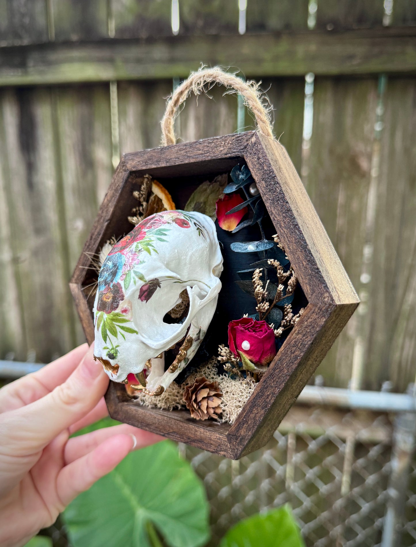 Rose Cat Skull in small frame