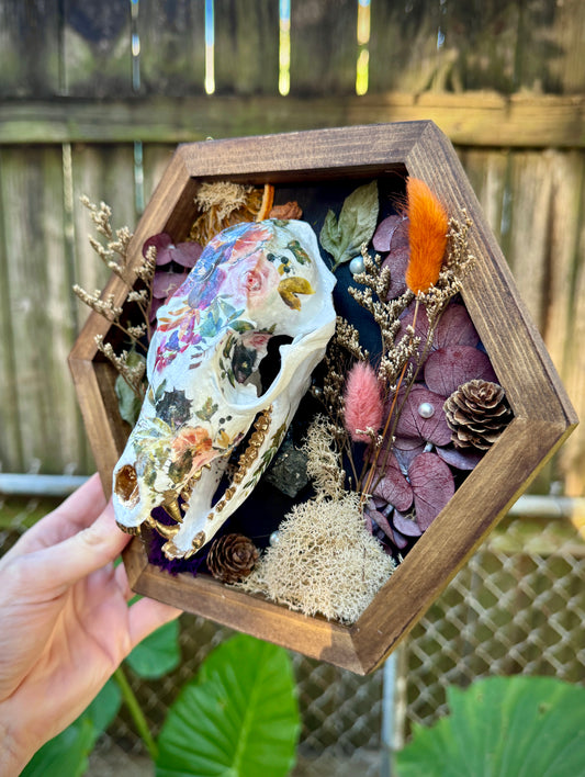 Autumn Fox skull in medium frame