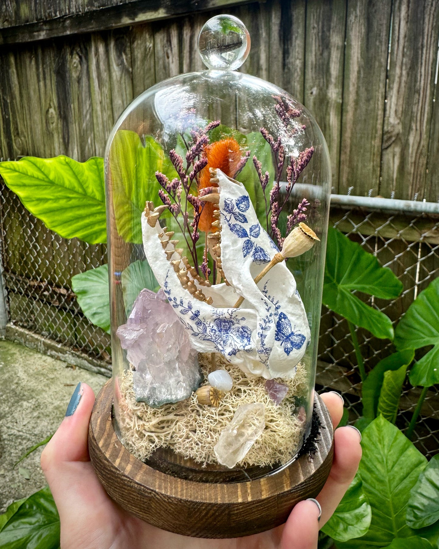 Mini Faux Fox Skull in Cloche